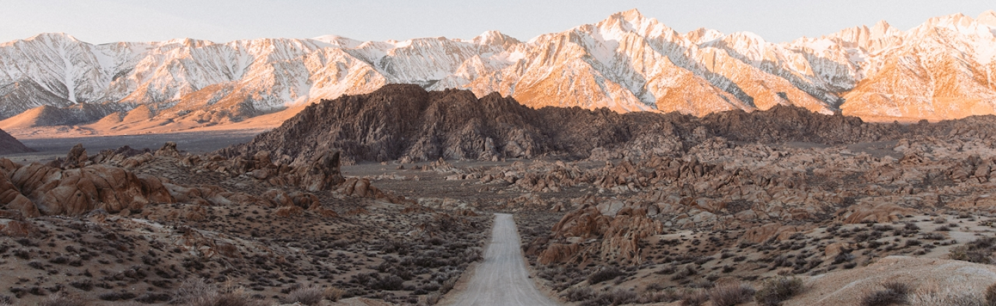 Path Forward