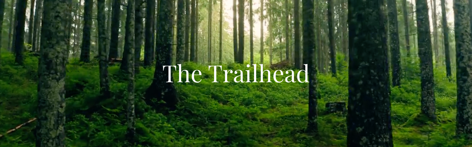 The Vitality Project